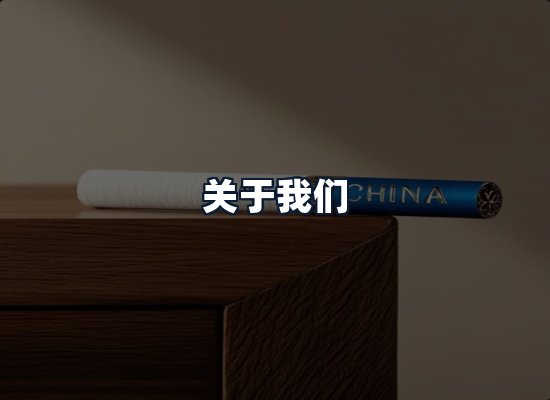 关于我们
